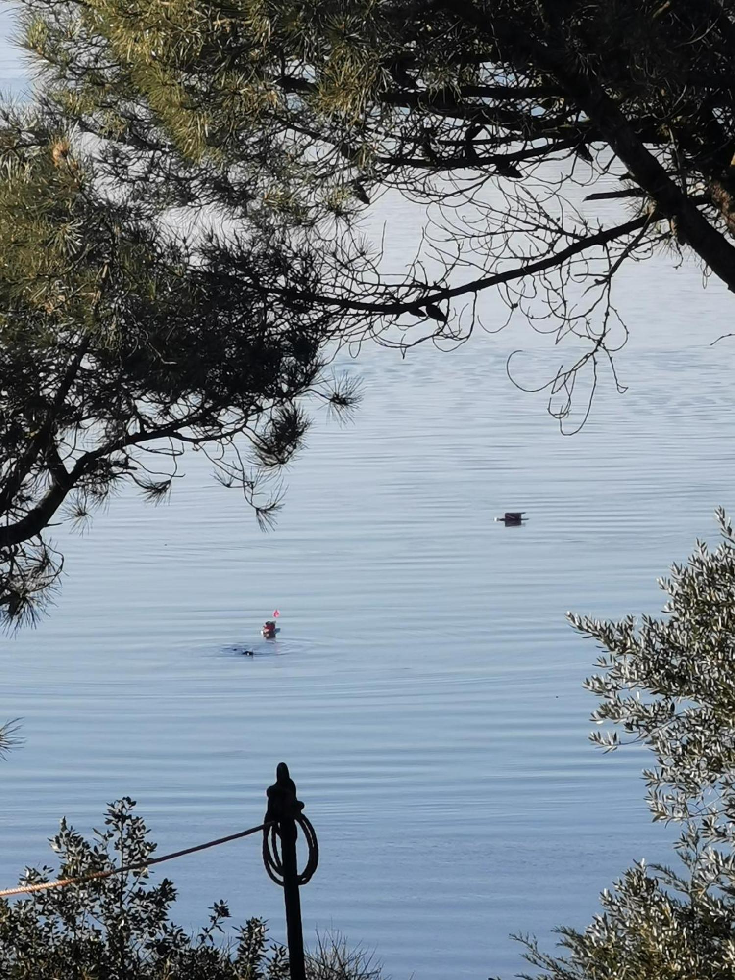 Les Pieds Dans L'Eau Leilighet Saint-Malo Eksteriør bilde